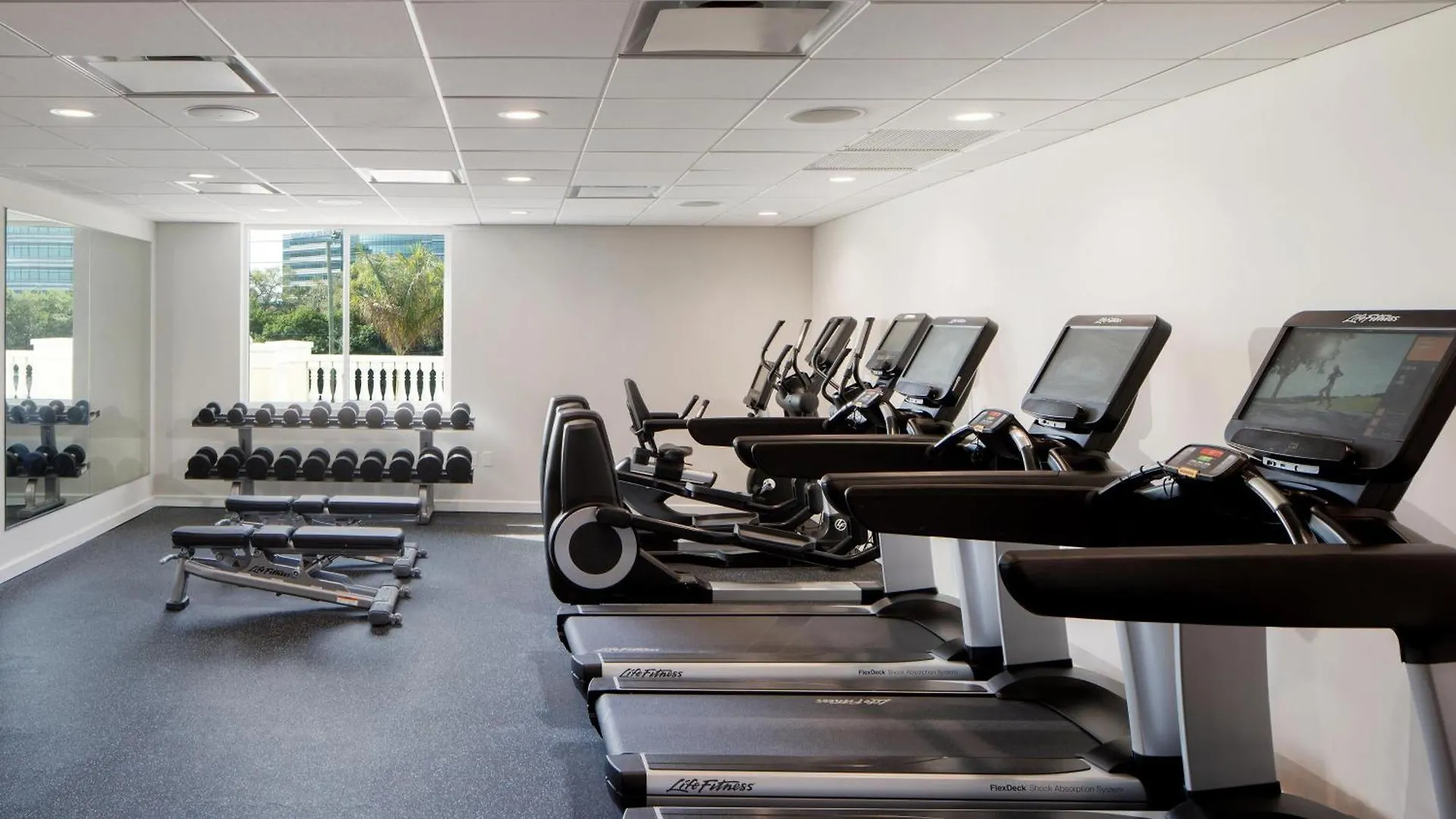 The Karol Hotel, St. Petersburg Clearwater, A Tribute Portfolio Hotel United States
